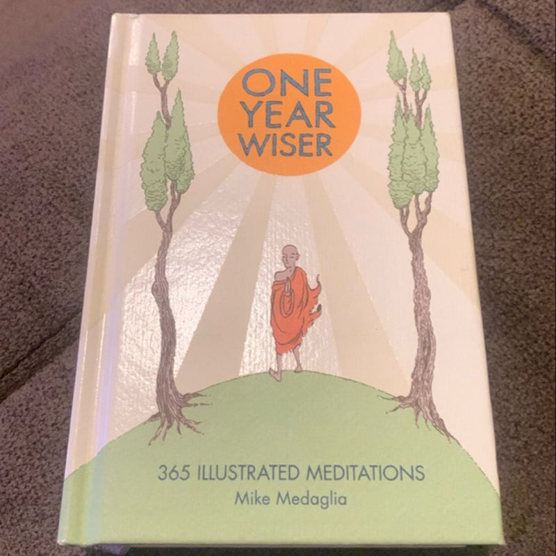 One Year Wiser: 365 Illustrated Meditations