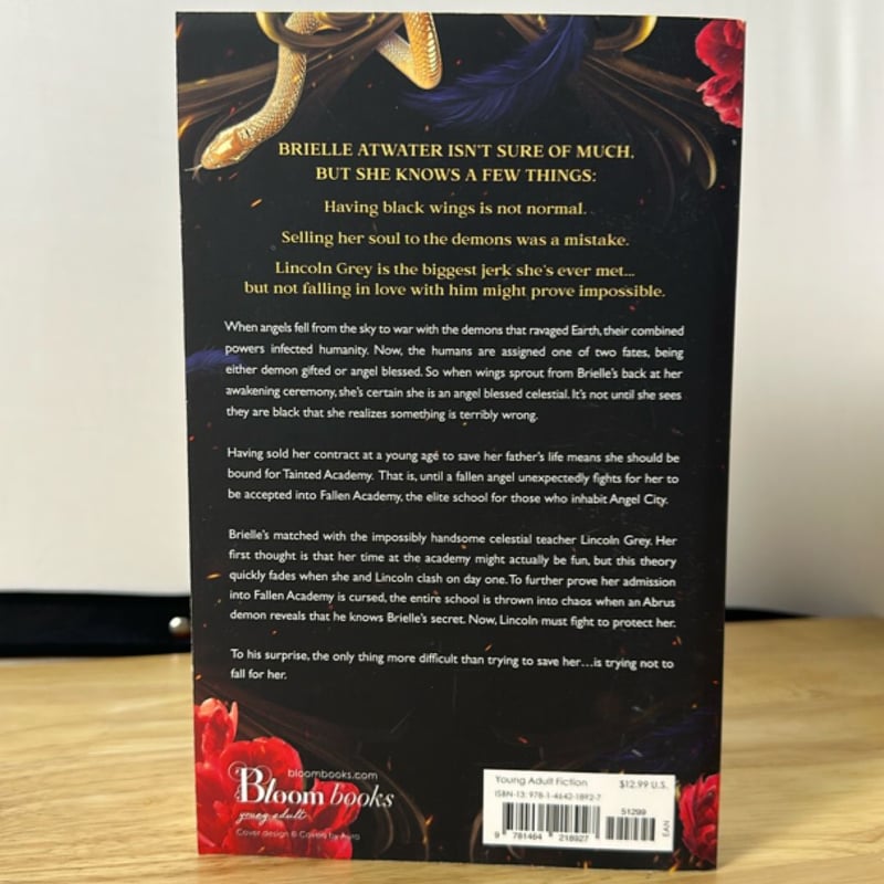 Fallen Academy: Year One