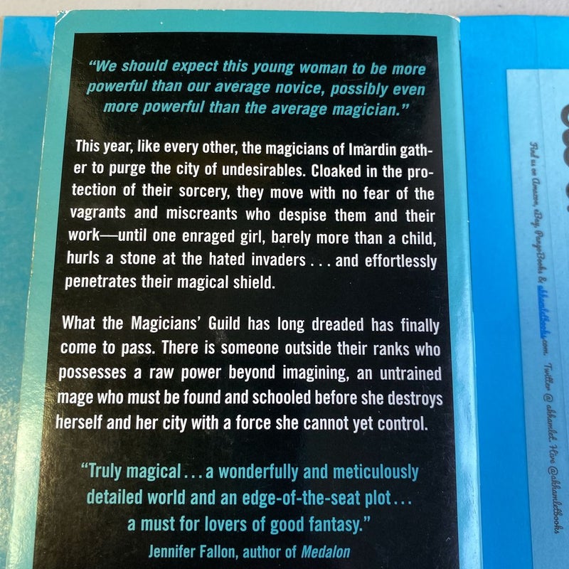 The Magicians' Guild