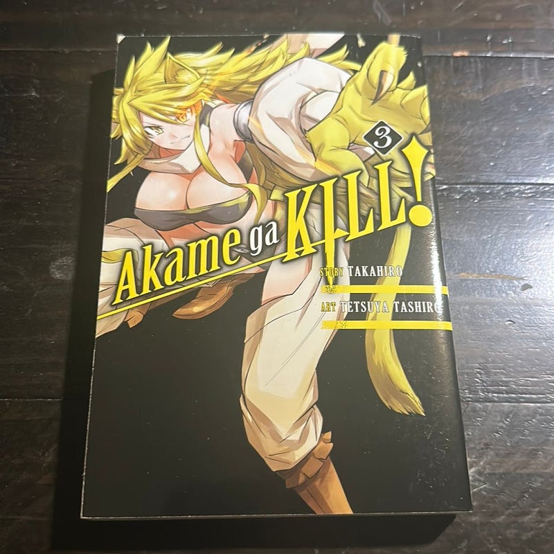 Akame Ga KILL!, Vol. 3