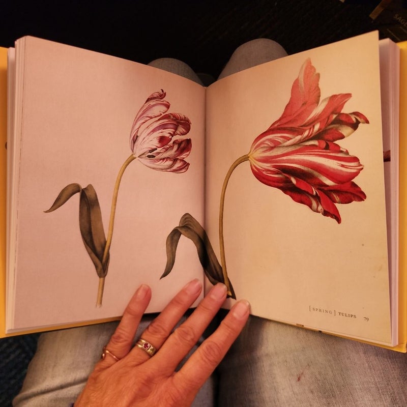 Mr. Marshal's Flower Book