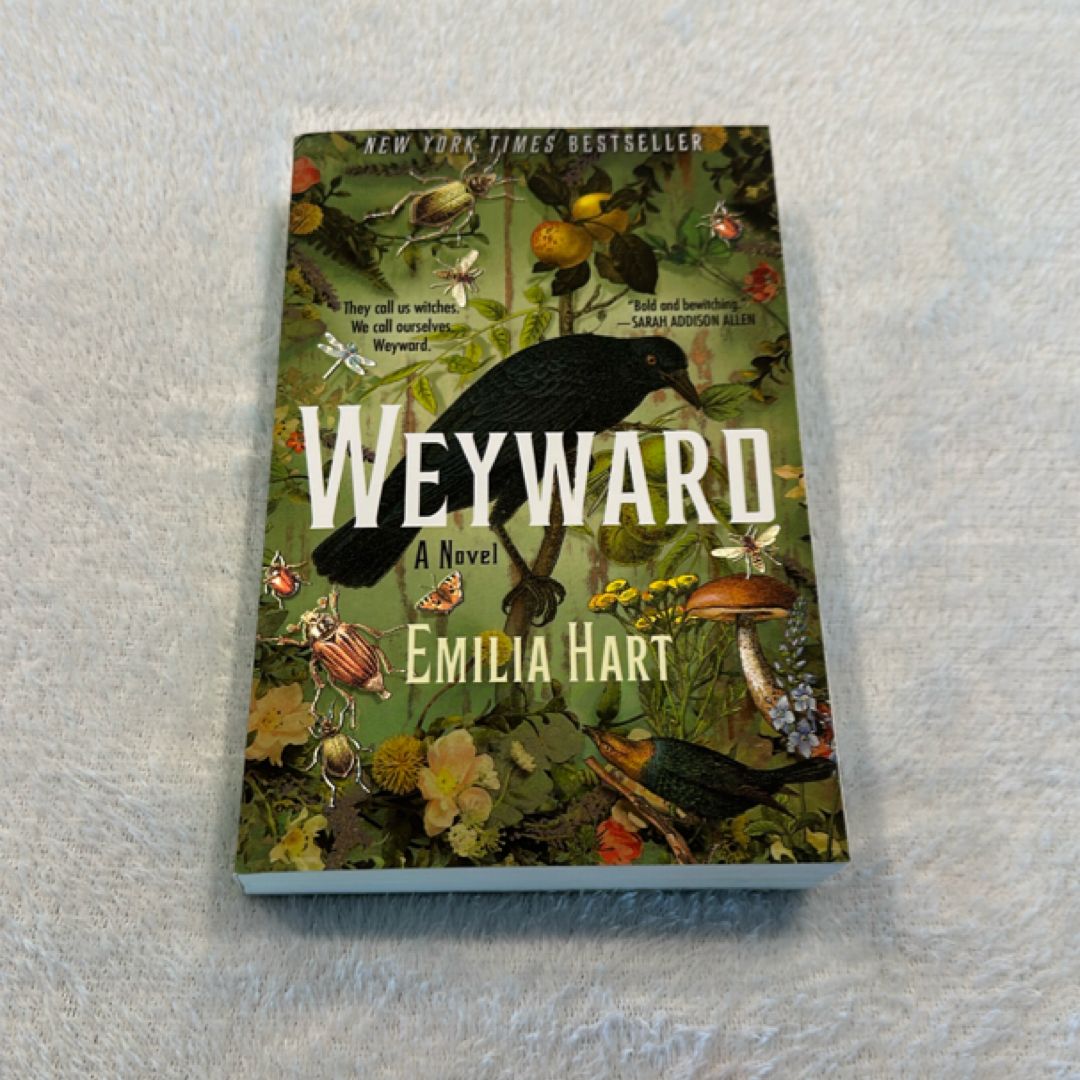 Sale image for 8950ed83-661d-4aa7-94bd-4cdb3cc9d16d-DMuxcUMW05hQ0fepBO6o1xefLY02