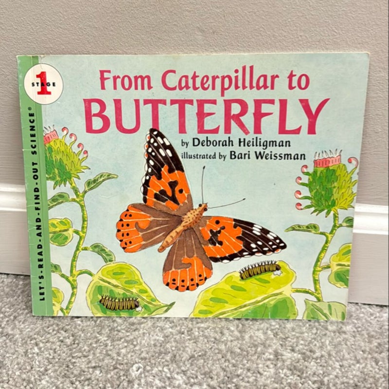 From Caterpillar to Butterfly