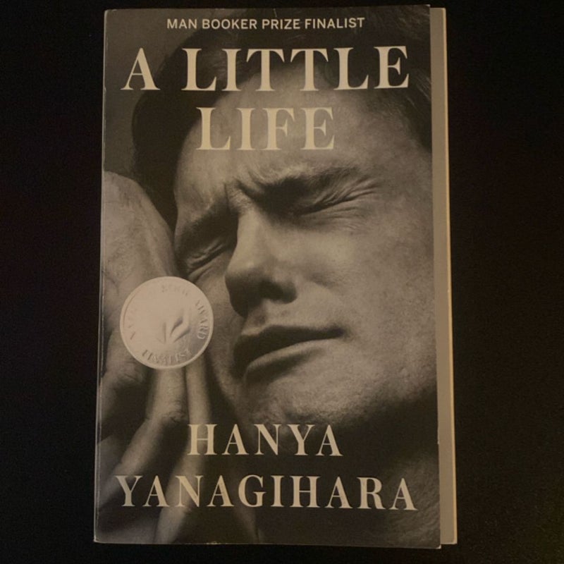 A Little Life