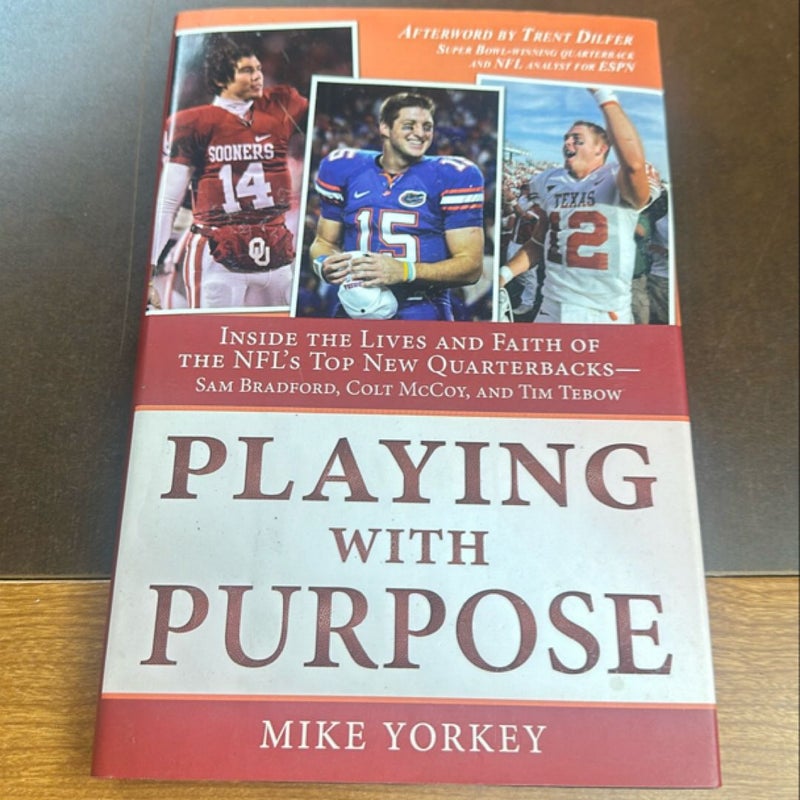 Playing with Purpose