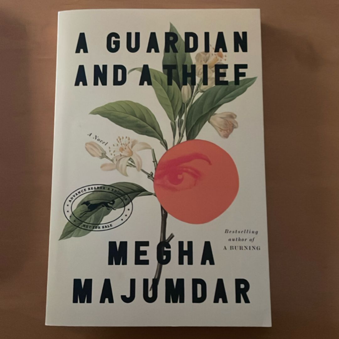 A Guardian and a Thief