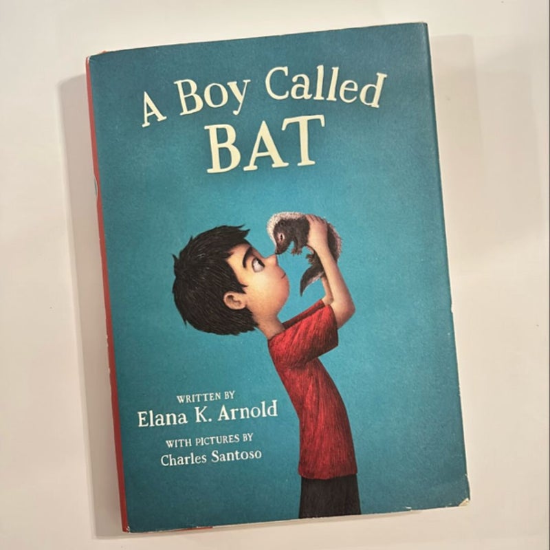 A Boy Called Bat