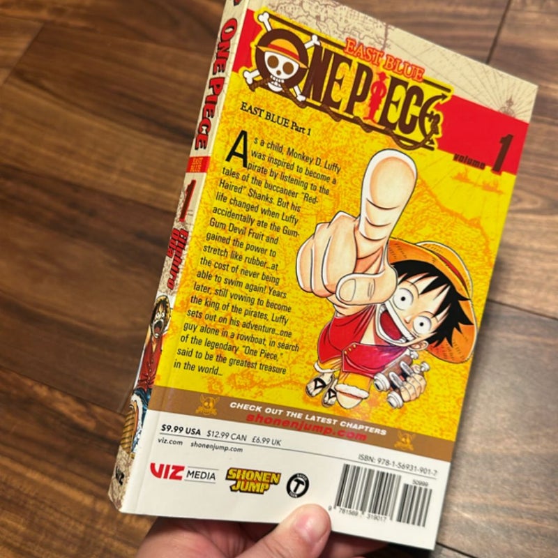 One Piece, Vol. 1