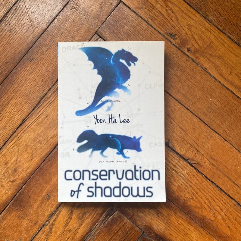 Conservation of Shadows