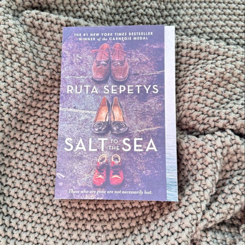 Salt to the Sea