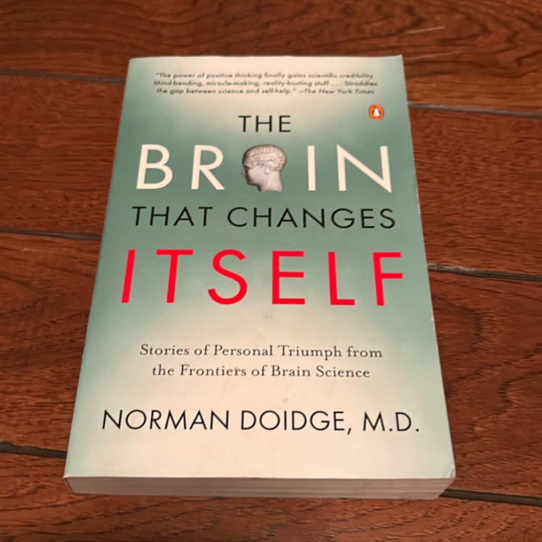 The brain that changes itself