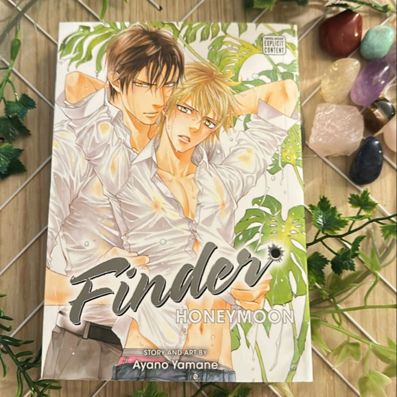 Finder Deluxe Edition: Honeymoon, Vol. 10