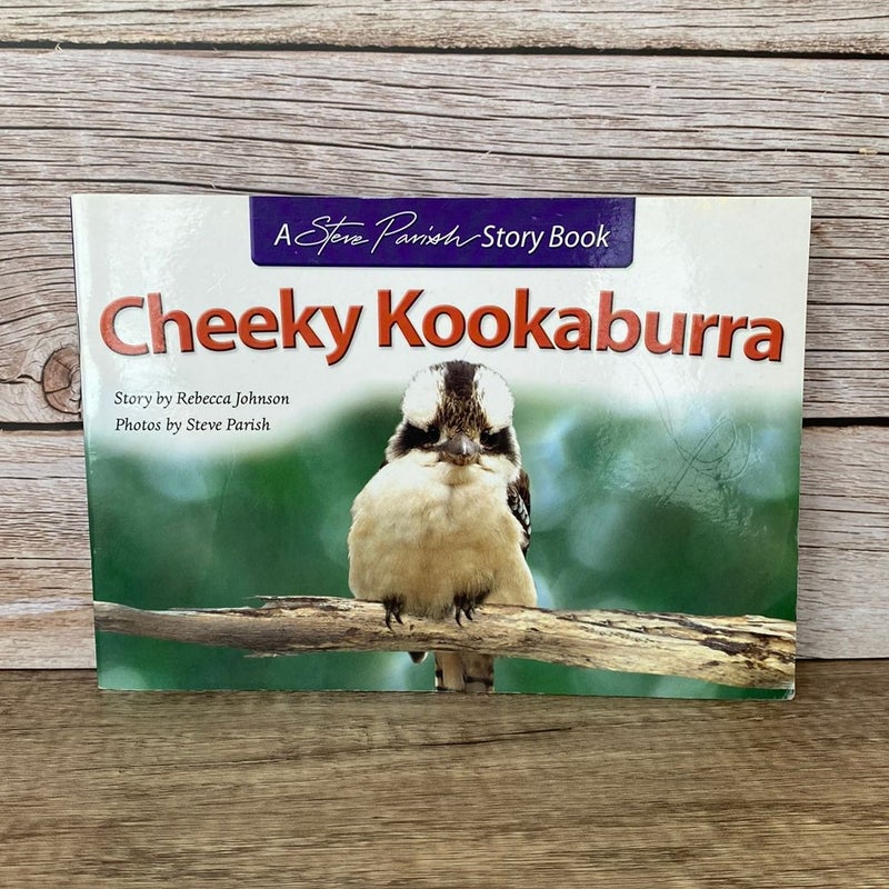 Cheeky Kookaburra