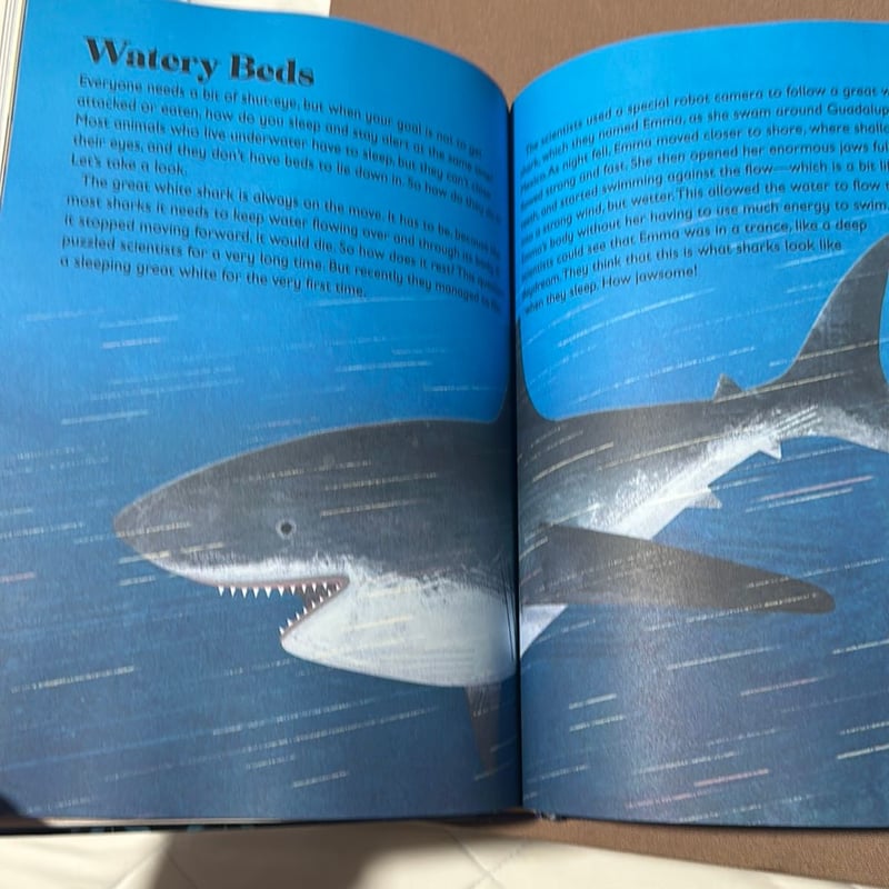 5-Minute Really True Stories for Bedtime by Britannica Britannica Group