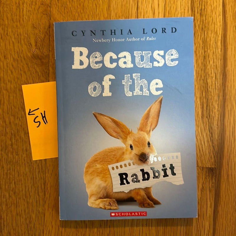 Because of the Rabbit 