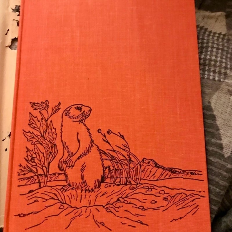 Whitetail The Story Of A Prairie Dog Vintage 1958