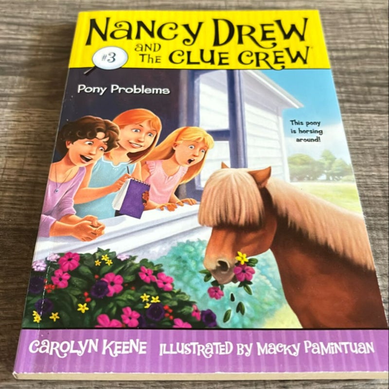 Nancy Drew and The Clue Crew