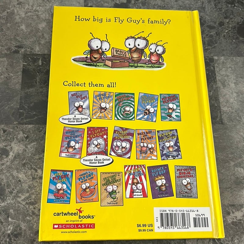 Fly Guy Book Lot