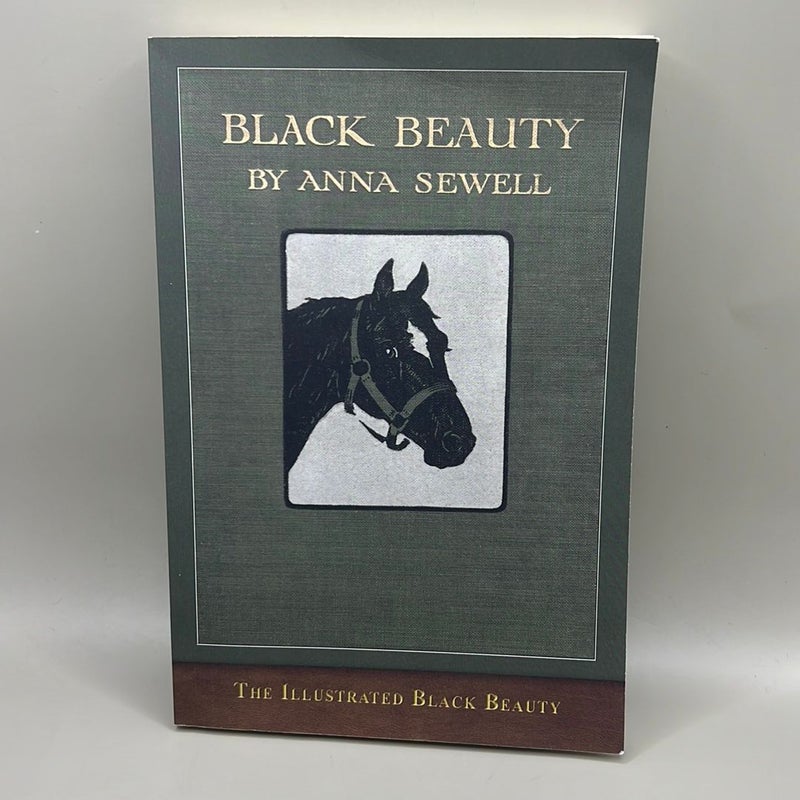 The Illustrated Black Beauty