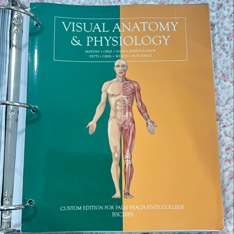 Visual Anatomy & Physiology