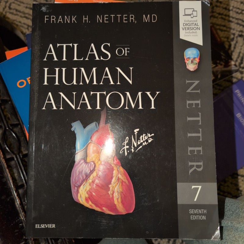 Atlas of Human Anatomy