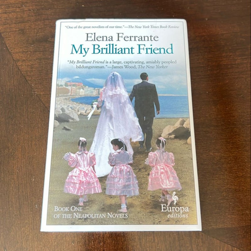 My Brilliant Friend