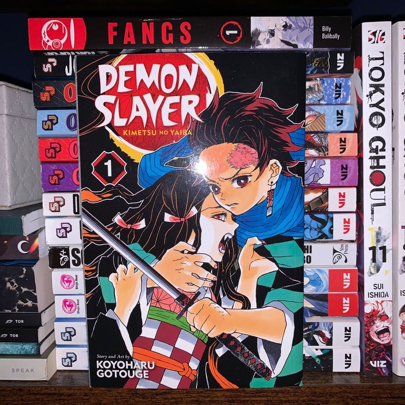 Demon Slayer: Kimetsu No Yaiba, Vol. 1