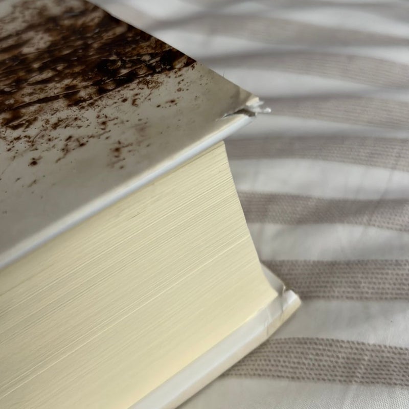 The Norton Anthology of Theory and Criticism
