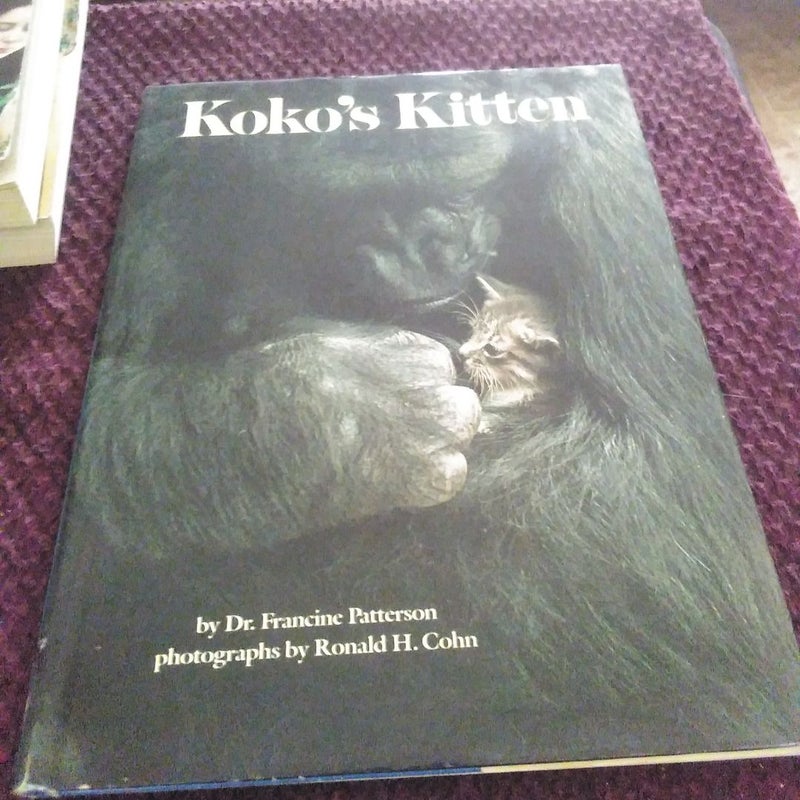 Koko's Kitten