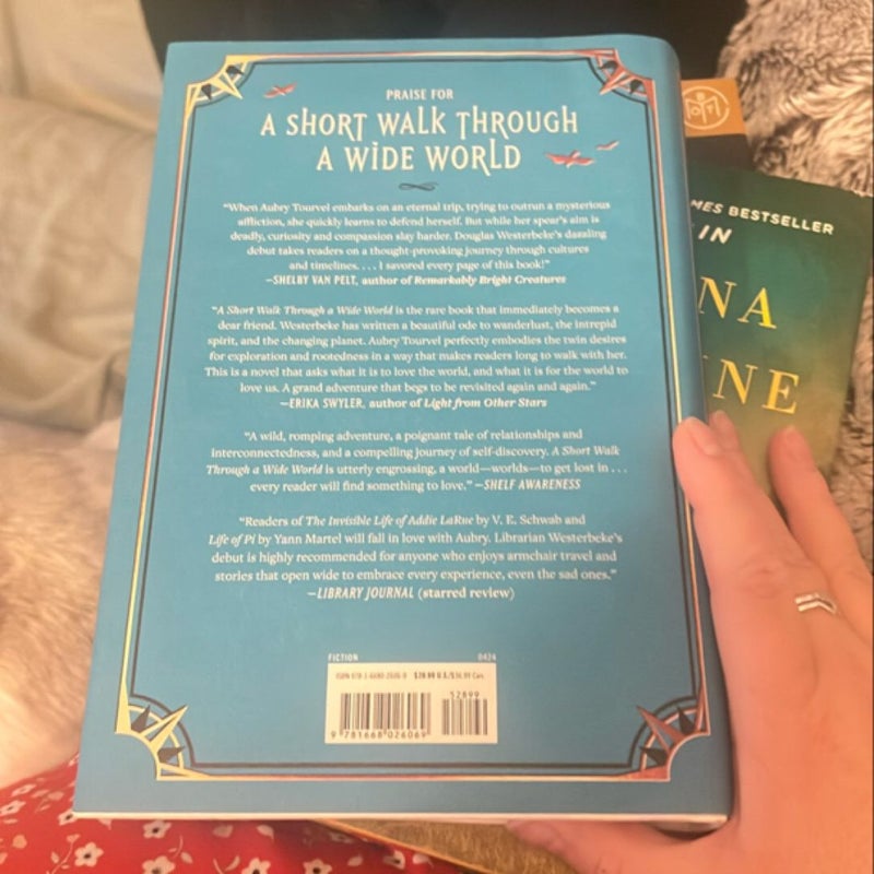 A Short Walk Through a Wide World