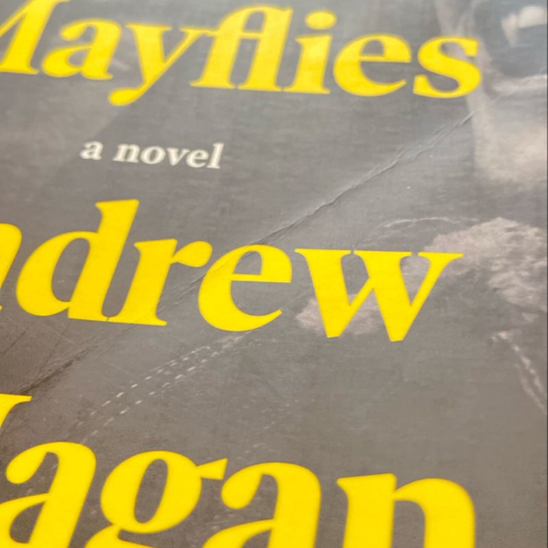 Mayflies