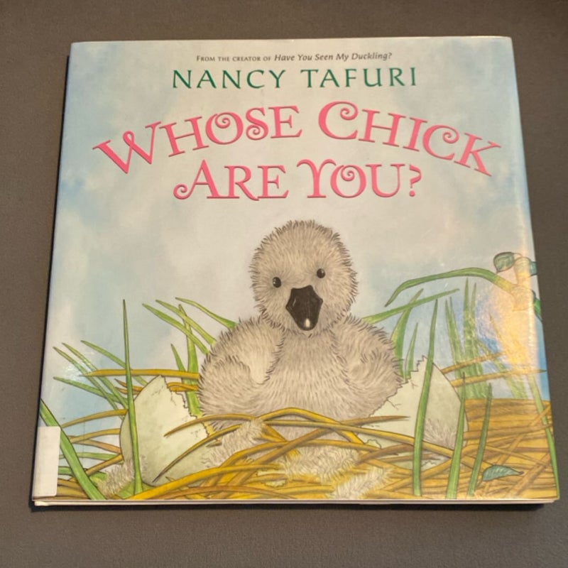 Whose Chick Are You?