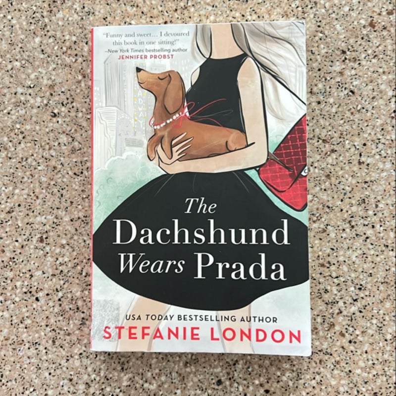 The Dachshund Wears Prada