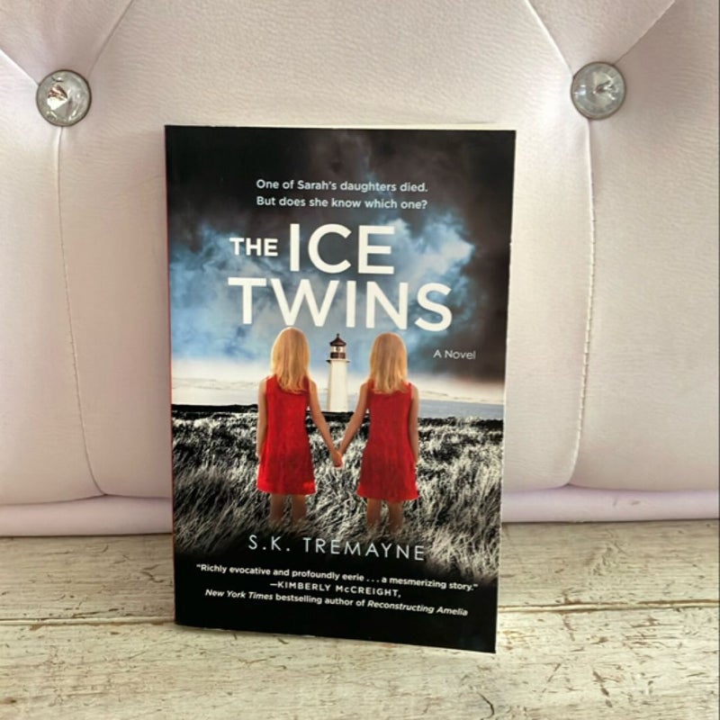 The Ice Twins