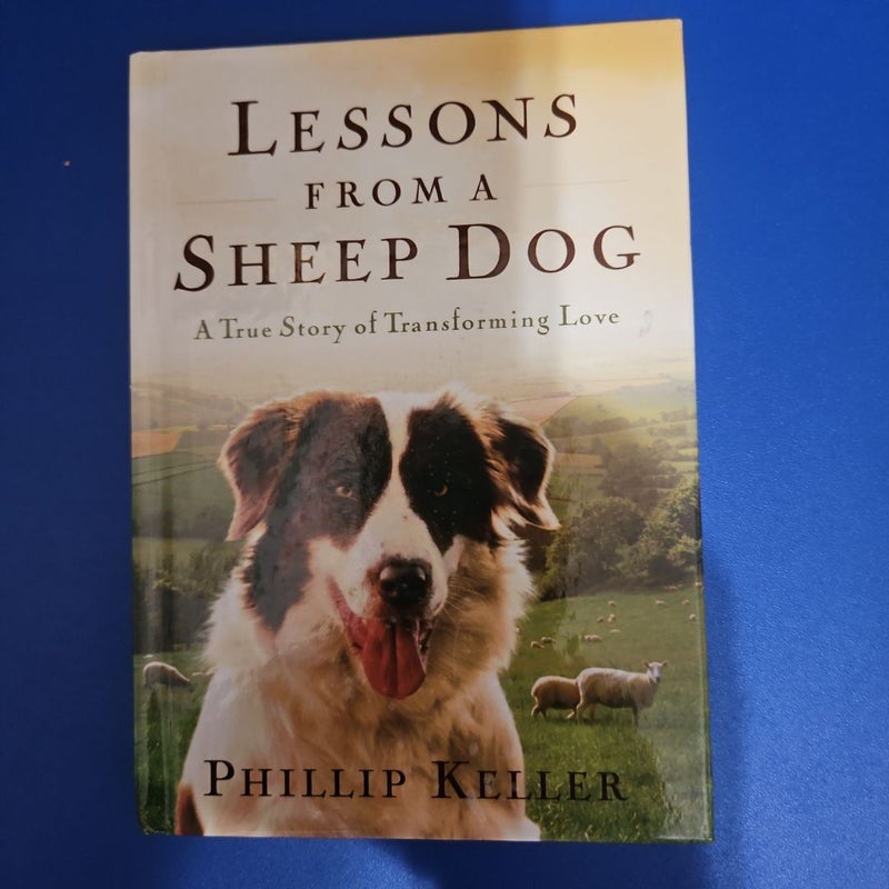 Lessons from a Sheep Dog