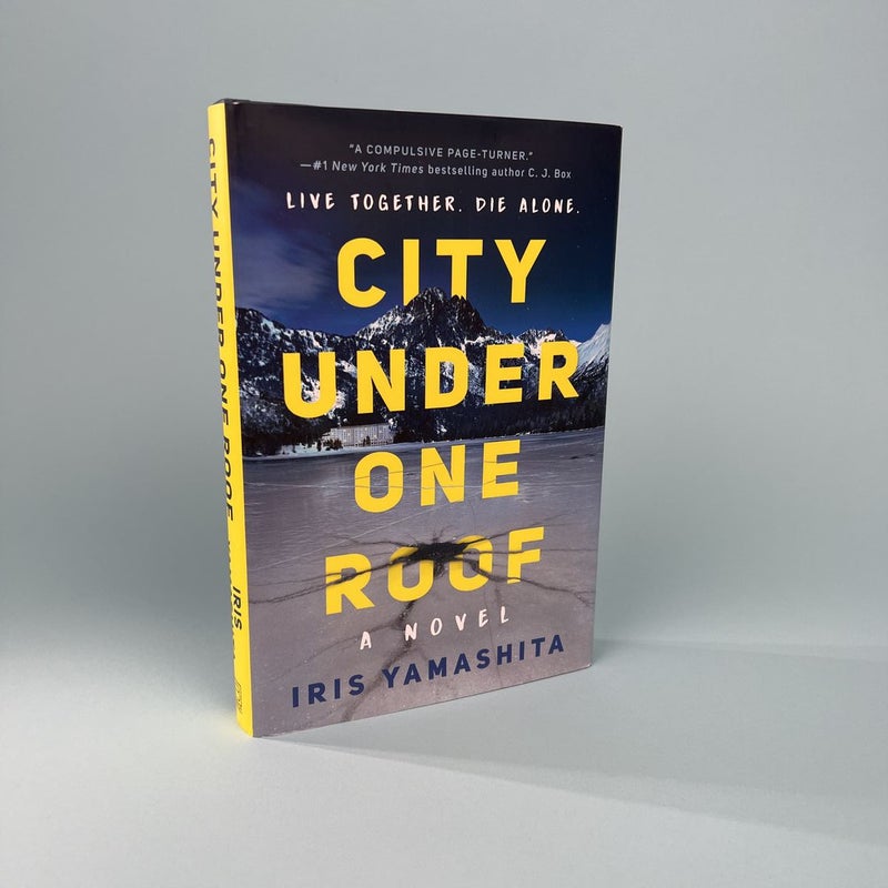 City Under One Roof (Paperback)