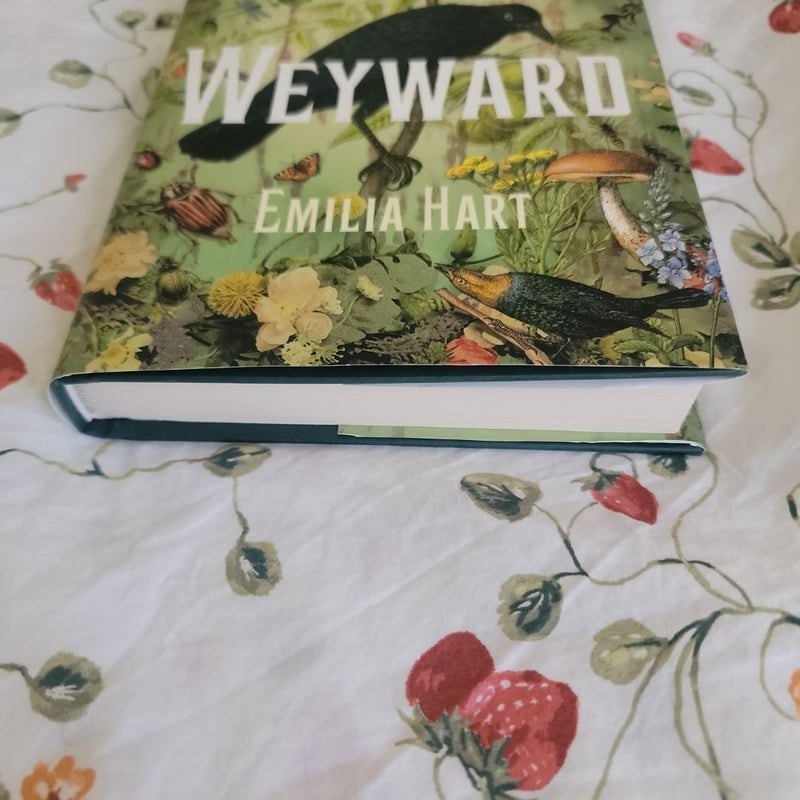 Weyward