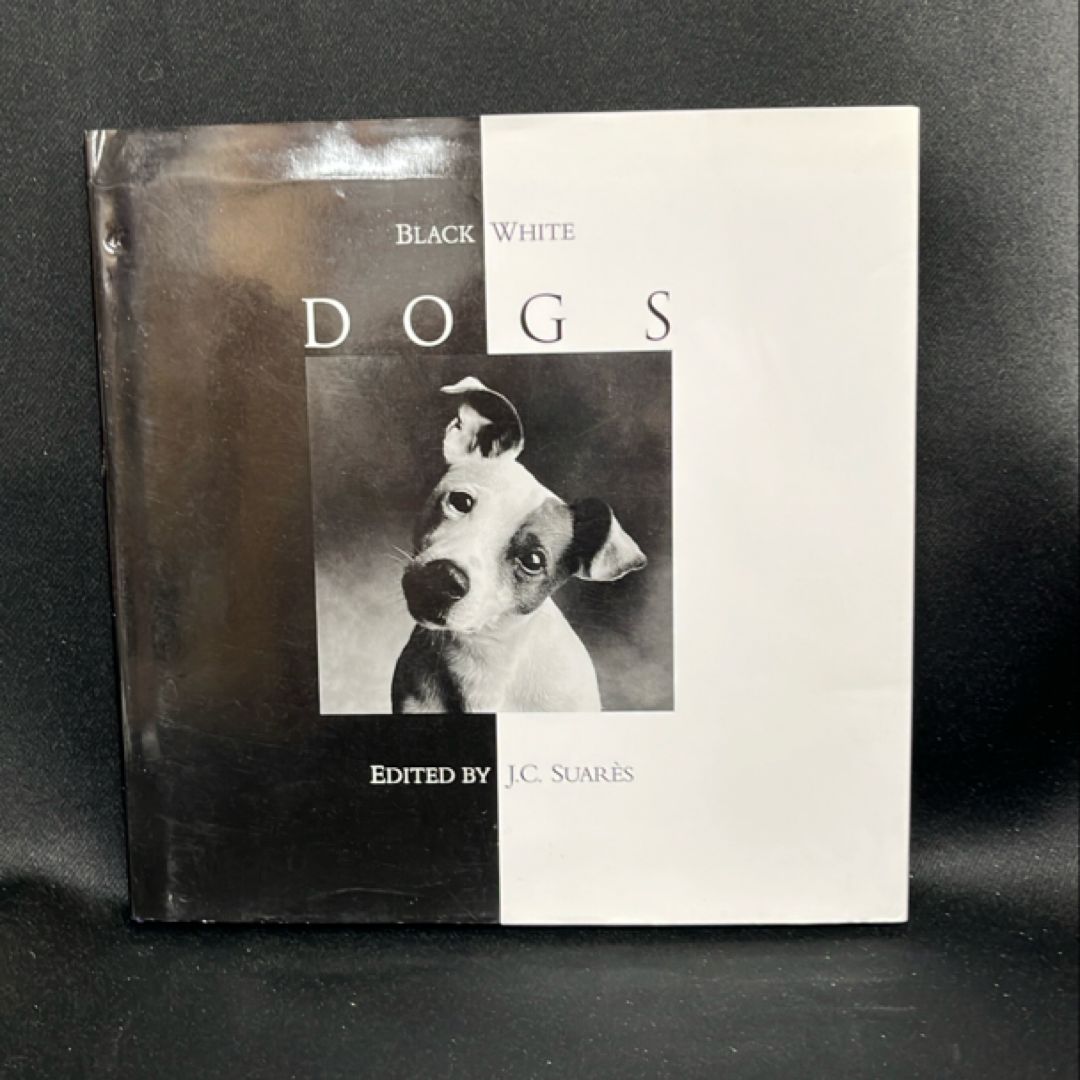 Black and White Dogs