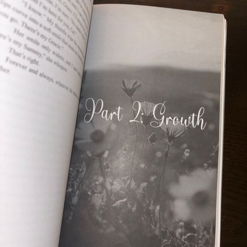 The Brightest Light of Sunshine