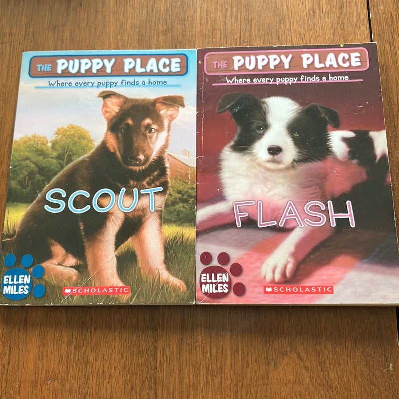 Flash and Scout