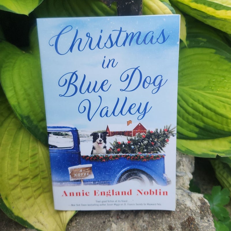 Christmas in Blue Dog Valley