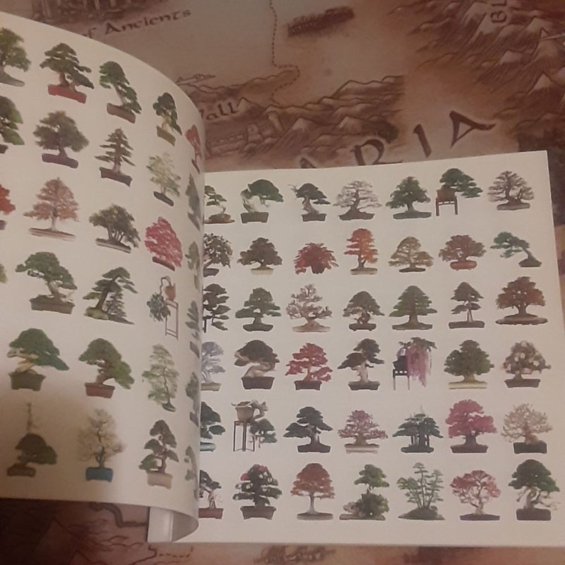 Bonsai Today's Pocket Bonsai Gallery