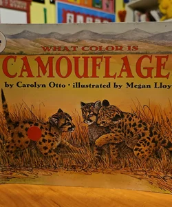 What Color is Camouflage?