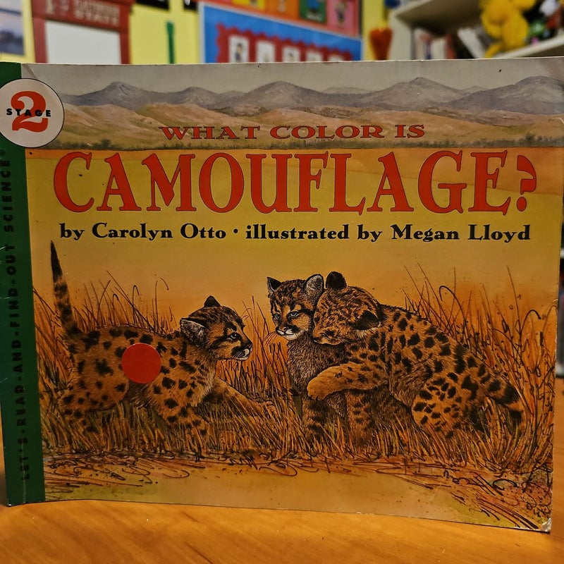 What Color is Camouflage?