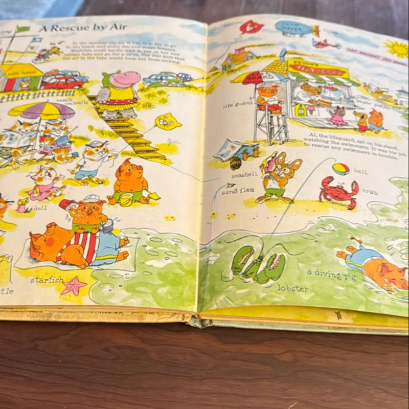 Richard Scarry's Great Big Air Book