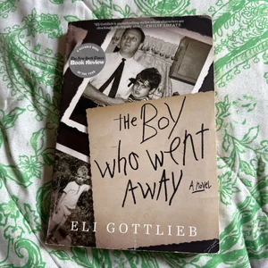 The Boy Who Went Away