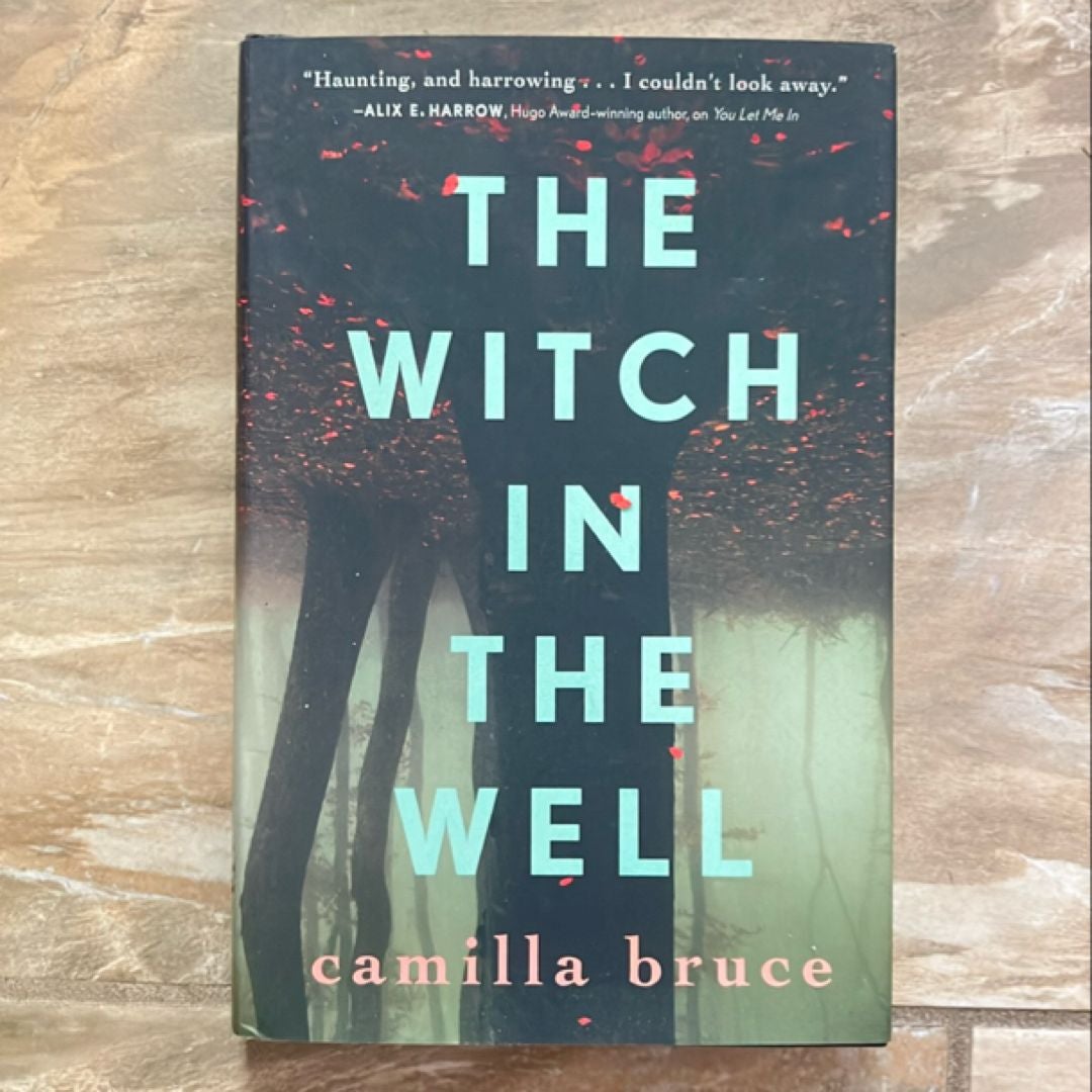 The Witch in the Well