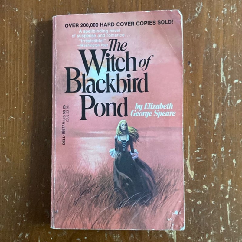 The Witch of Blackbird Pond