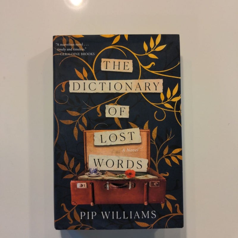 The Dictionary of Lost Words