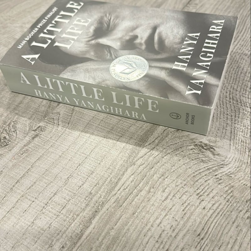 A Little Life